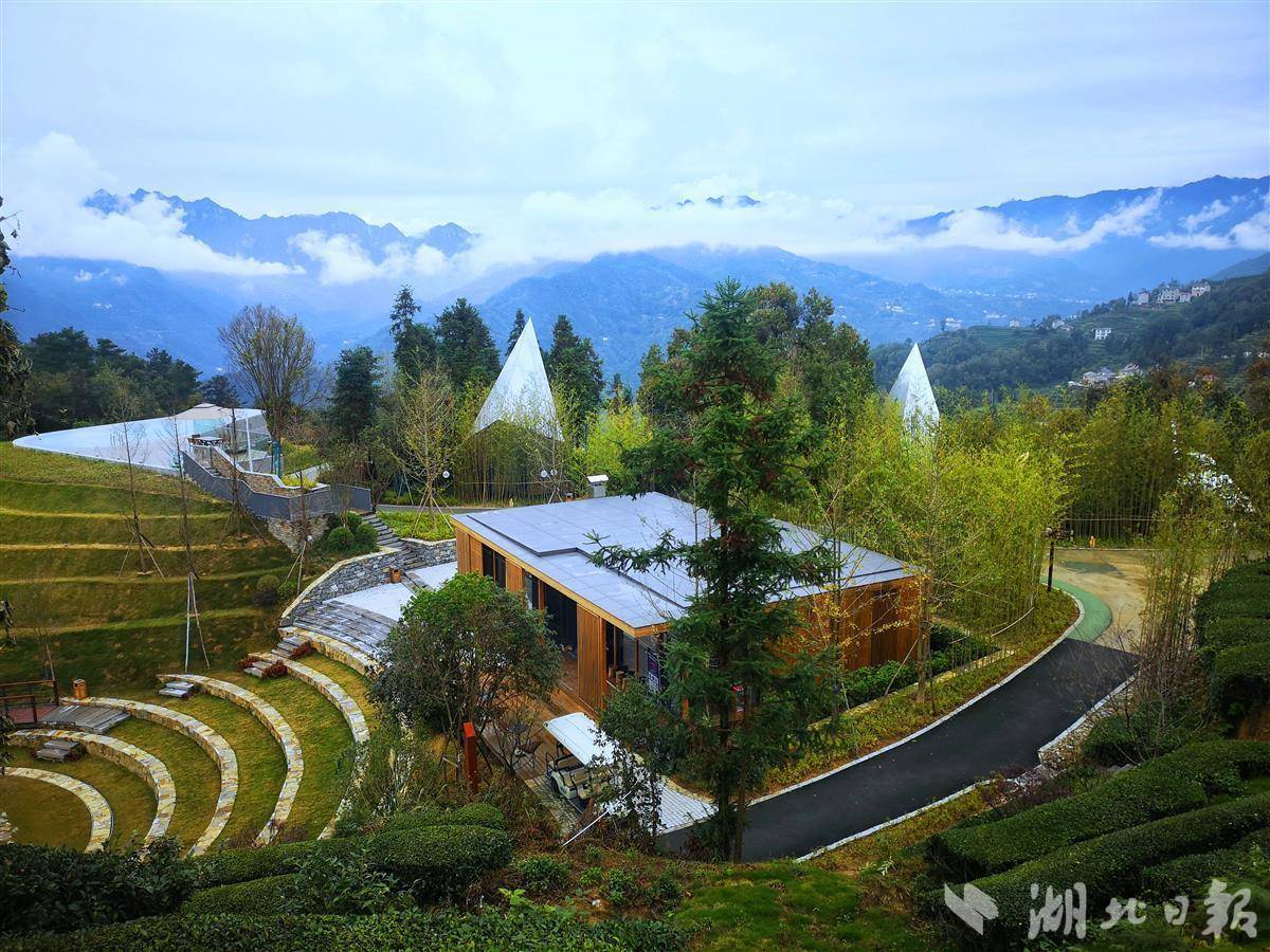微星棋牌最新地址